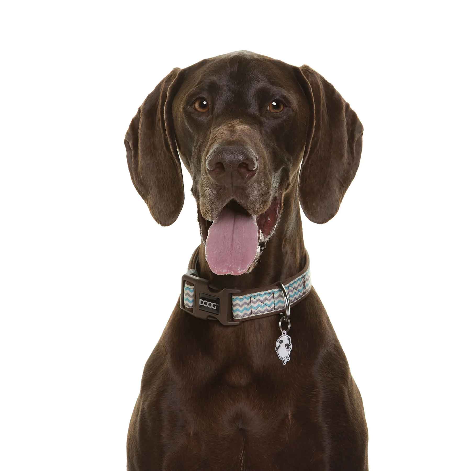 DOOG Neoprene Dog Collar Benji Large Blue/Grey