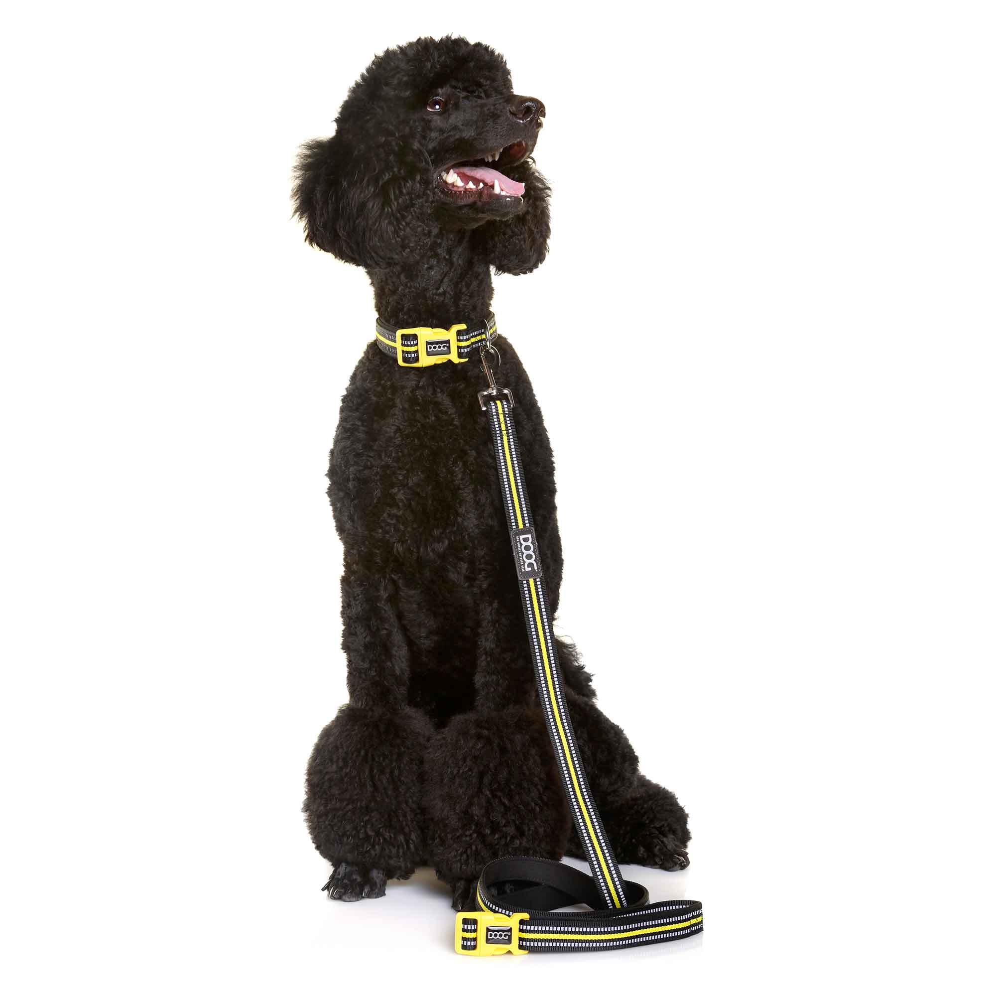 DOOG Neoprene Dog Collar Bolt Neon Large Yellow/Black