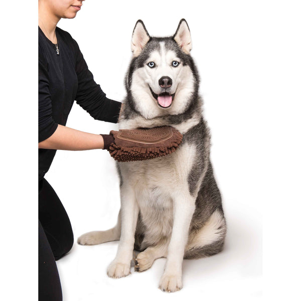 DGS Pet Products Dirty Dog Grooming Mitt Brown 10" x 7" x 1"