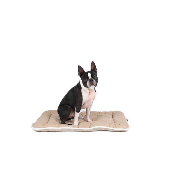 DGS Pet Products Pet Cotton Canvas Sleeper Cushion Small Sand 19" x 24" x 1"