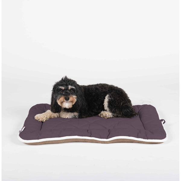 DGS Pet Products Pet Cotton Canvas Sleeper Cushion Medium Pebble Grey 21" x 30" x 1"
