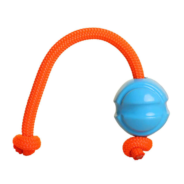 DOOG Fetch-ables Fetch-A-Tug Dog Toy Blue 12" x 2.75" x 2.75"