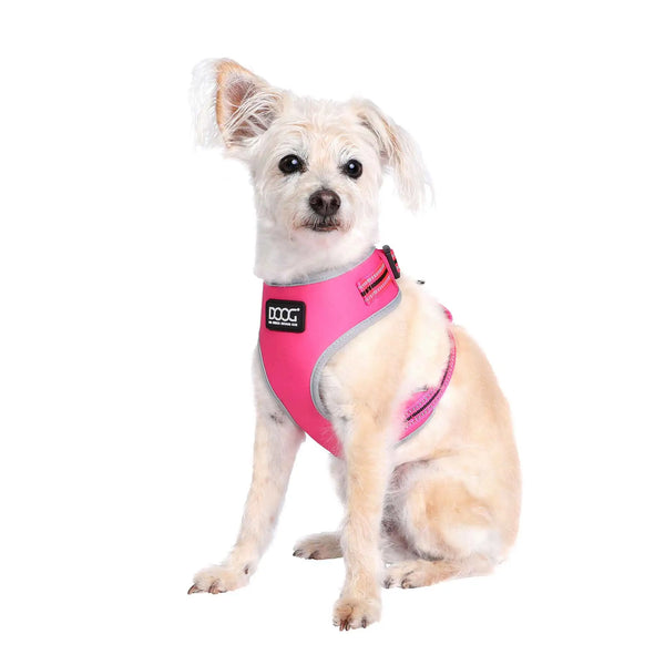 DOOG Neoflex Dog Harness Lady Neon Medium Pink