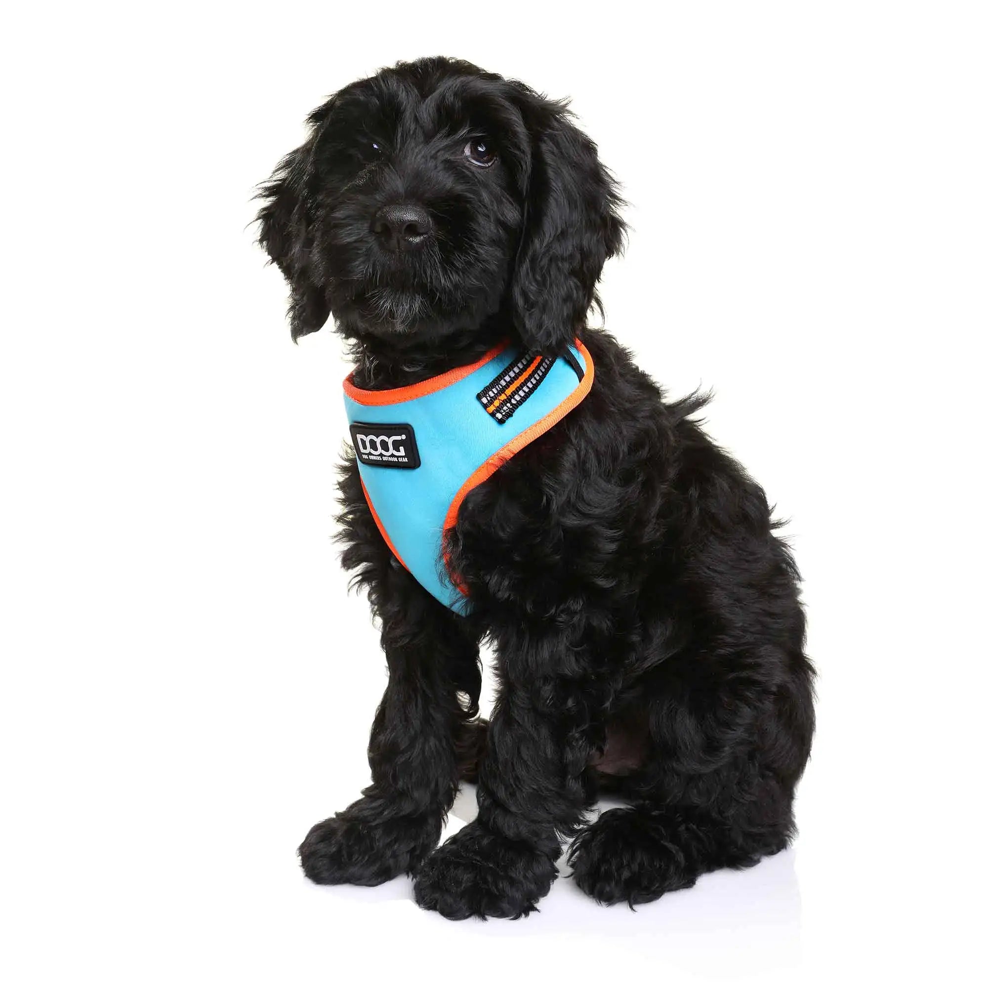 DOOG Neoflex Dog Harness Beethoven Neon Extra Small Orange/Blue
