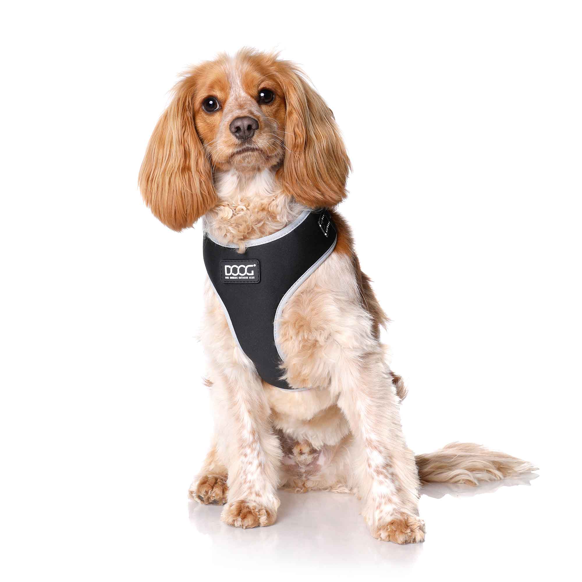 DOOG Neoflex Dog Harness Lassie Extra Small Black