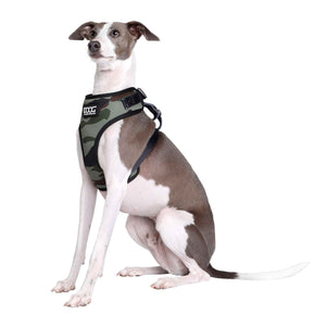 DOOG Neoflex Dog Harness Bruiser Large Camo