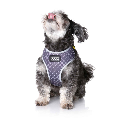 DOOG Neoflex Dog Harness Odie Large Black/Purple/Yellow