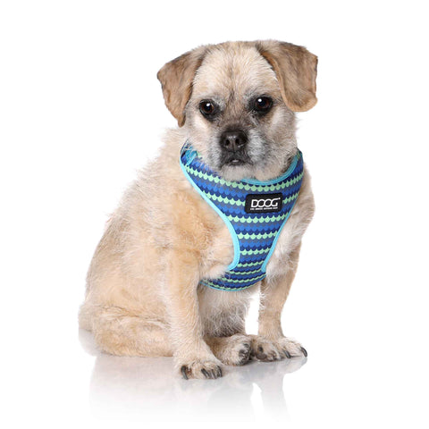 DOOG Neoflex Dog Harness Pluto Large Blue