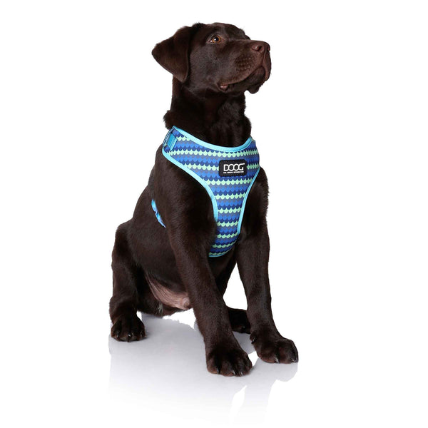 DOOG Neoflex Dog Harness Pluto Medium Blue