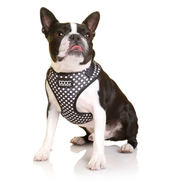 DOOG Neoflex Dog Harness Pongo Medium Black/White Polka Dot