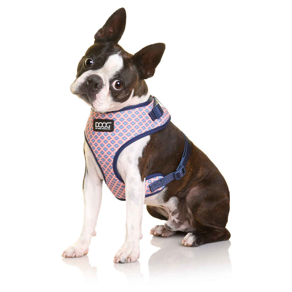 DOOG Neoflex Dog Harness Gromit Large Blue/Pink