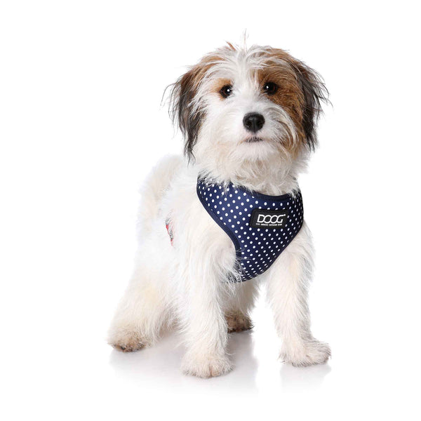 DOOG Neoflex Dog Harness Stella Extra Large Blue/White Polka Dot