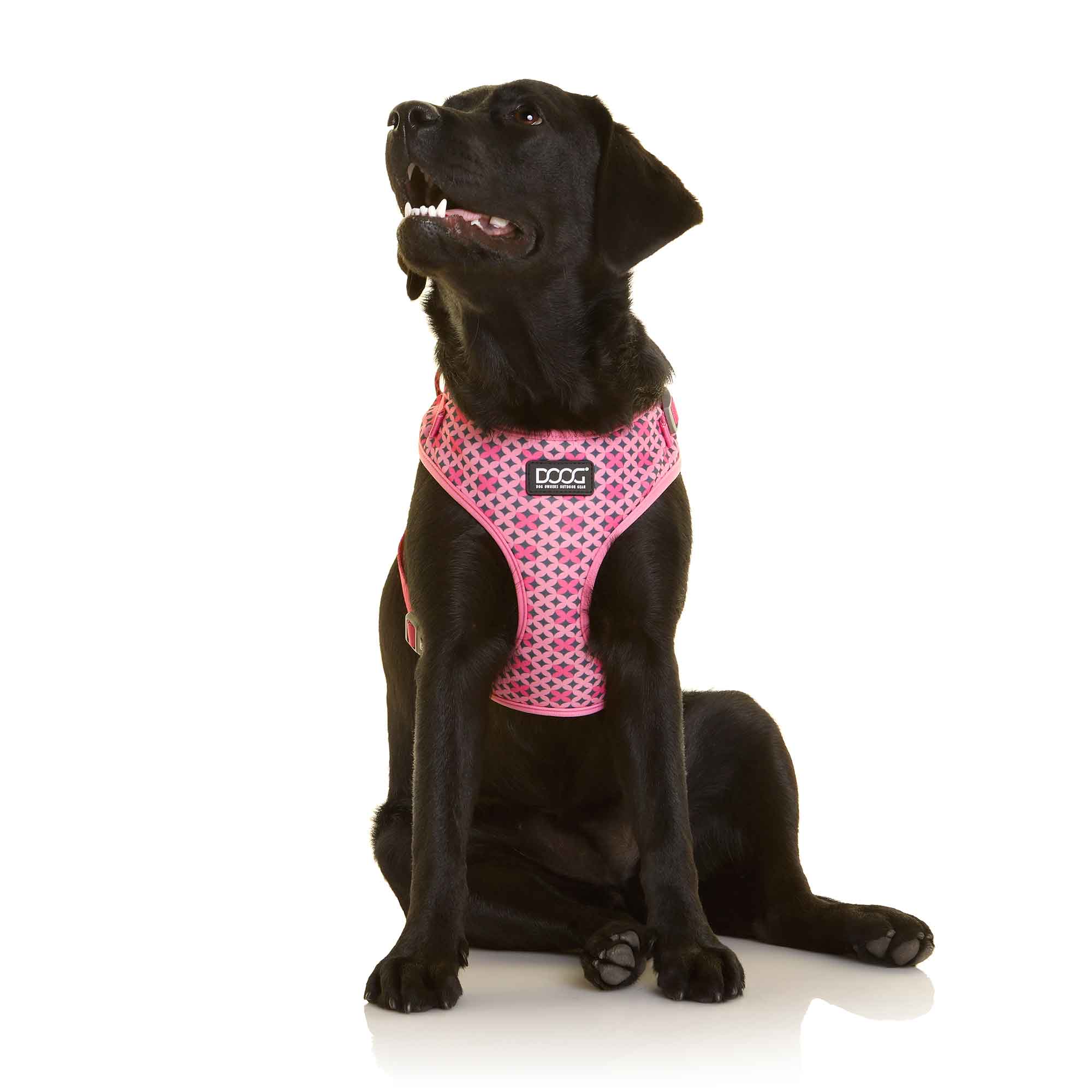 DOOG Neoflex Dog Harness Toto Large Pink