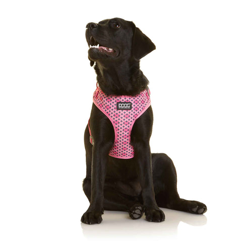 DOOG Neoflex Dog Harness Toto Extra Large Pink