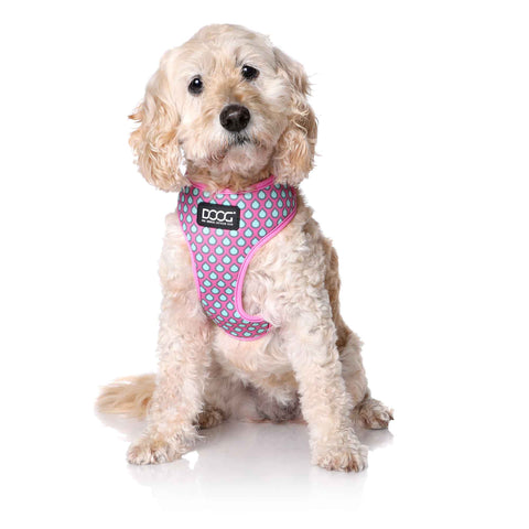 DOOG Neoflex Dog Harness Luna Large Pink/Blue