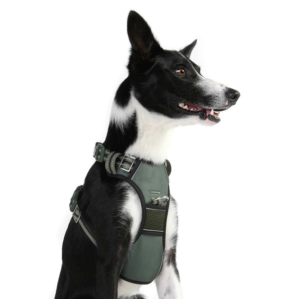 DOOG Neotech Dog Harness Medium Green