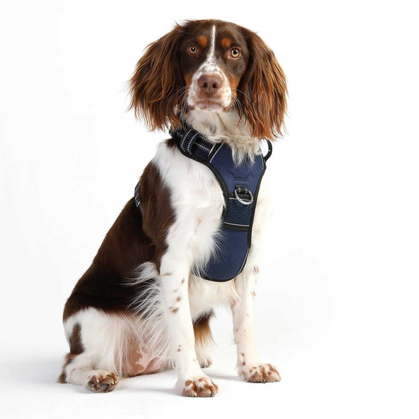 DOOG Neotech Dog Harness Extra Large Navy