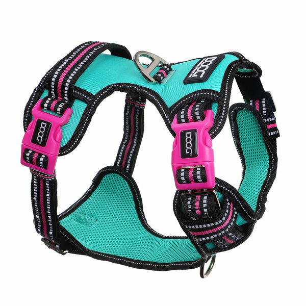 Doog Neotech Dog Harness Rin Tin Tin Extra Large Blue/Pink/Black