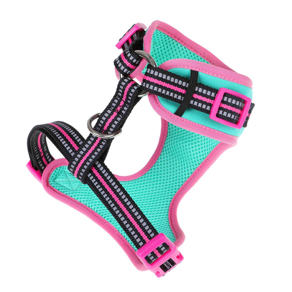 DOOG Neoflex Dog Harness Rin Tin Tin Neon Large Teal/Pink