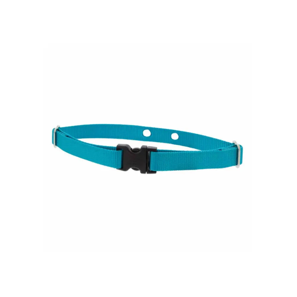 Lupine Pet 2 Hole Adjustable Nylon Replacement Collar Strap 3/4 inch Medium Aqua