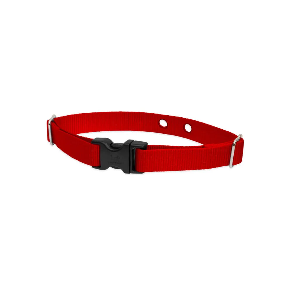 Lupine Pet 2 Hole Adjustable Nylon Replacement Collar Strap 3/4 inch Medium Red