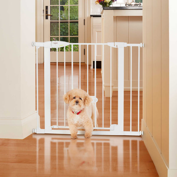 MyPet Wide Walk Thru EasyPass Pet Gate with Auto Close