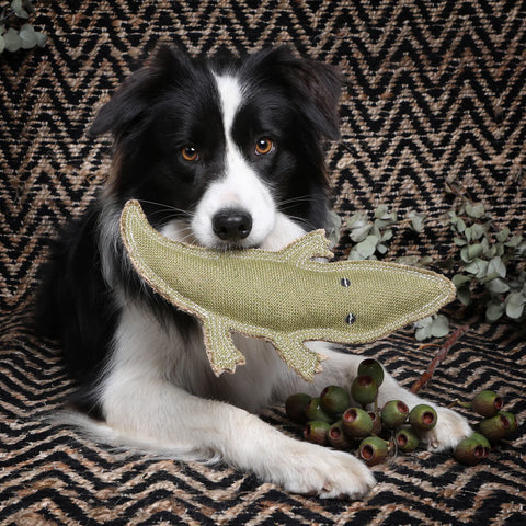 Doog Outback Tails Steve the Cory Crocodile Jute Chew Toy Green 11.81" x 5.90"