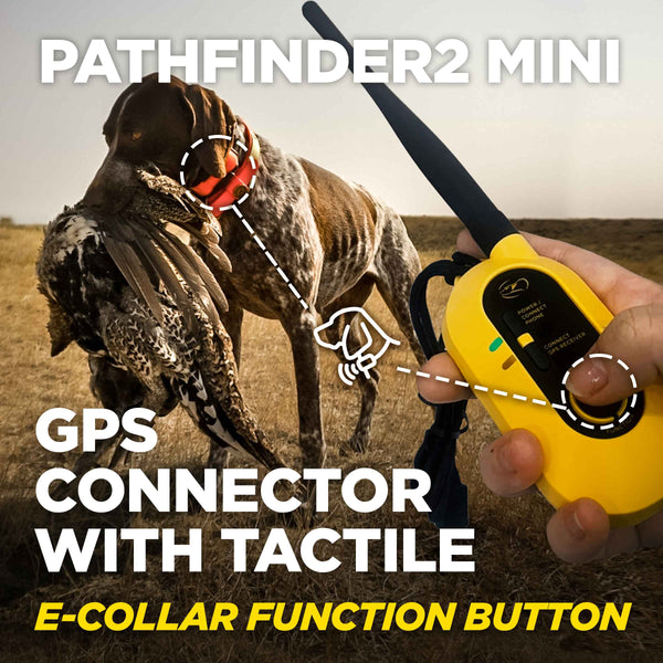 Dogtra Pathfinder2 Mini GPS E-Collar Yellow/Orange