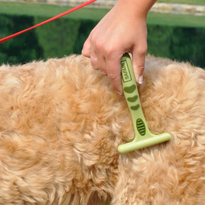 Coastal Pet Products Safari Dog Undercoat Rake Green 6.5" x 3.75" x 1.3"