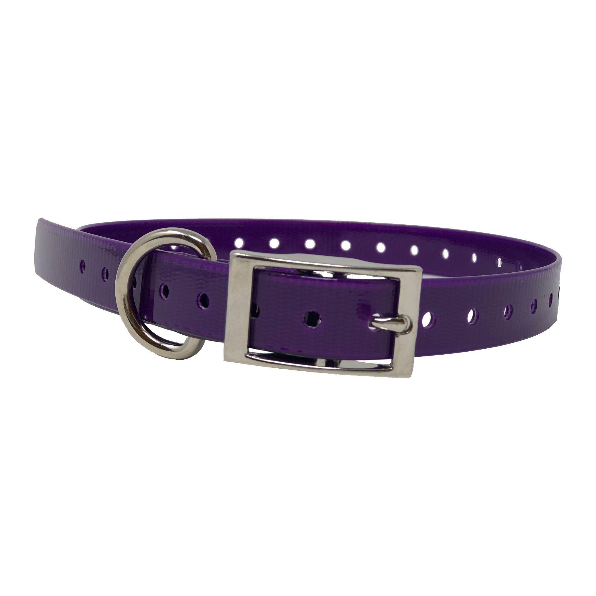 The Buzzard's Roost Replacement Collar Strap 3/4" Purple 3/4" x 24"
