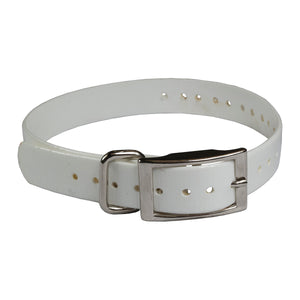 The Buzzard's Roost Replacement Collar Strap 3/4" White 3/4" x 24"