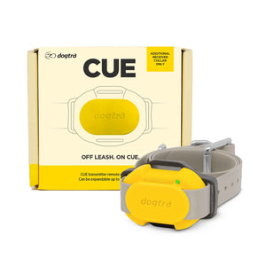 Dogtra CUE Additional Receiver Collar Yellow