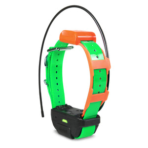 Dogtra Pathfinder TRX Tracking Only Collar Green